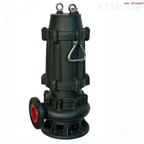 WQ500-2600-24-250排污泵厂家