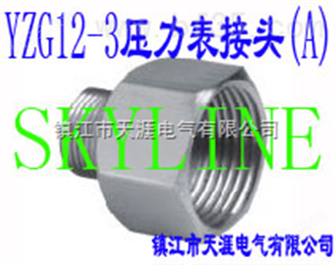 SKYLINE-YZG12-3 压力表接头（A）