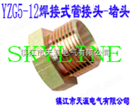 SKYLINE-YZG5-12 焊接式管接头-堵头