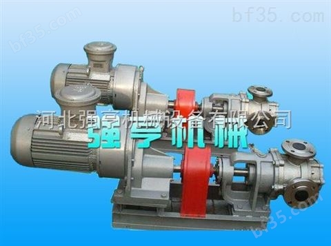 宜昌强亨WCB不锈钢微型柴油手提式齿轮泵便携式齿轮油泵质量现货供应