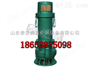 BQS15-22-2.2KW防爆电泵  BQS系列防爆电泵